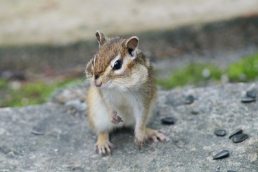 Similar image 2987832