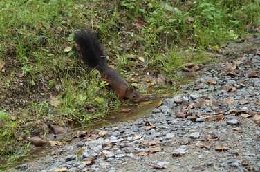 Similar image 2987833