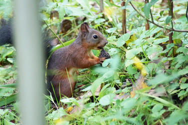 Similar image 2987834