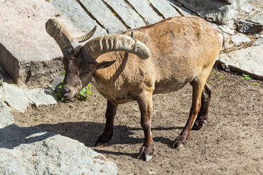 Similar image 2987878