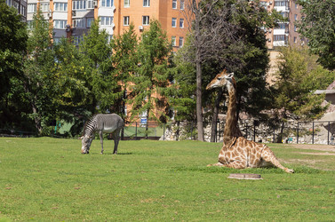 Similar image 2987880