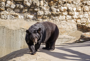 Similar image 2987881