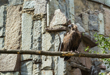 Similar image 2987883