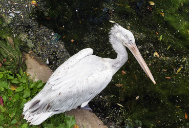 Similar image 2987884