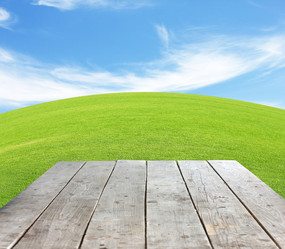 Similar image 2987976