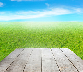 Similar image 2987977