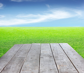 Similar image 2987980