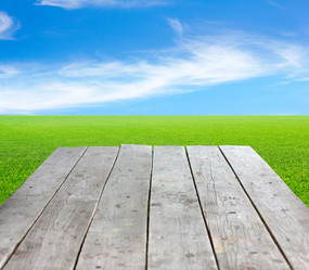 Similar image 2987990