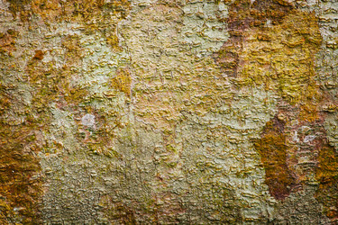 Similar image 2988019