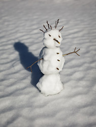 Similar image 2988036