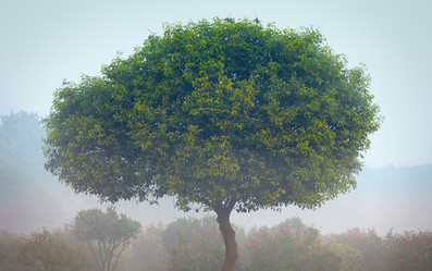 Similar image 2988040