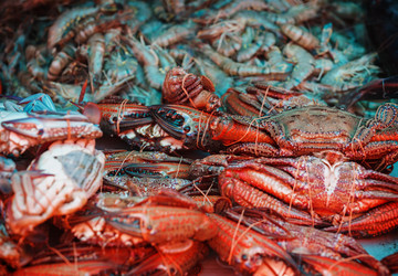 Similar image 2988052