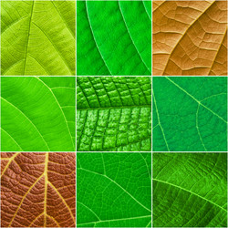 Similar image 2988054