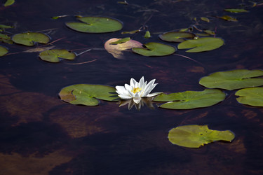 Similar image 2988075