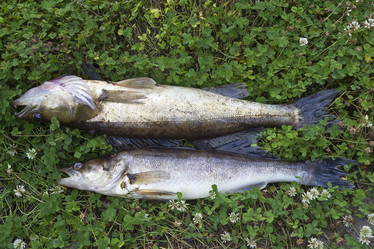 Similar image 2988080