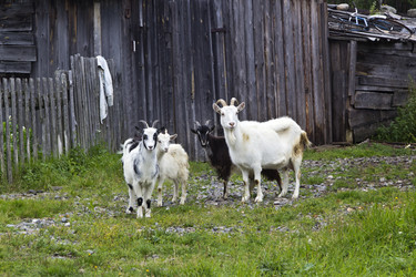 Similar image 2988085