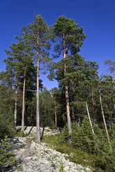 Similar image 2988087