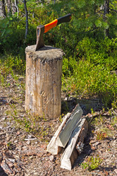 Similar image 2988096