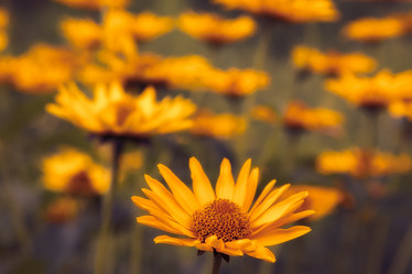 Similar image 2988133