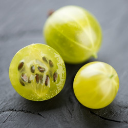 Similar image 2988259