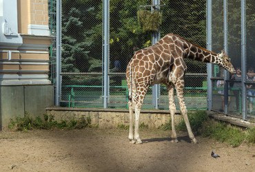 Similar image 2988266