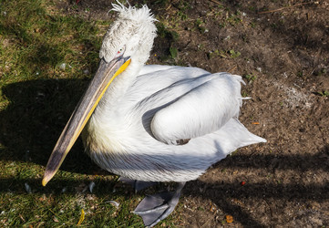 Similar image 2988267