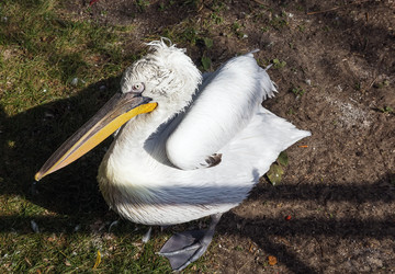 Similar image 2988268