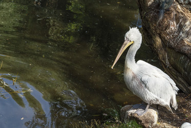 Similar image 2988269