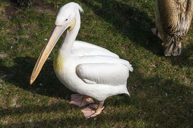 Similar image 2988271