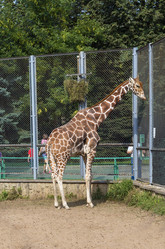 Similar image 2988272