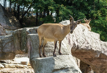 Similar image 2988274