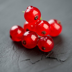 Similar image 2988277