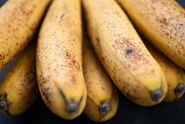 Similar image 2988284