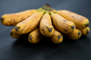 Similar image 2988285