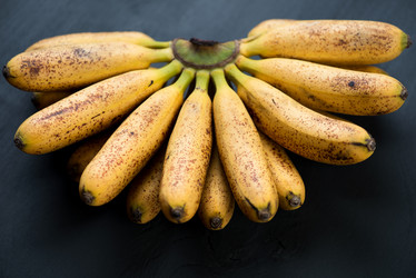 Similar image 2988292