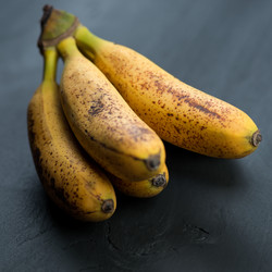 Similar image 2988293