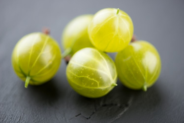 Similar image 2988298