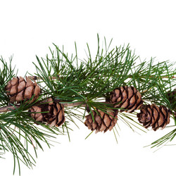 Similar image 2988368