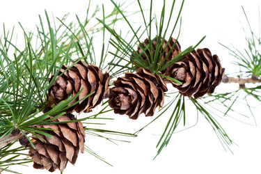 Similar image 2988369