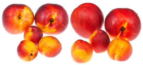 Similar image 2988378