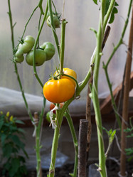 Similar image 2988389