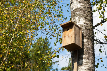 Similar image 2988390