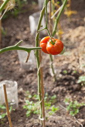 Similar image 2988391