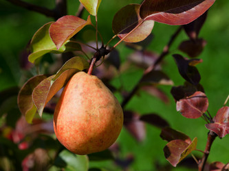 Similar image 2988420