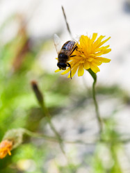 Similar image 2988424