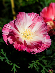 Similar image 2988433