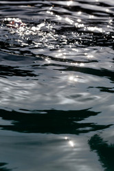 Similar image 2988435