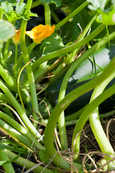 Similar image 2988452