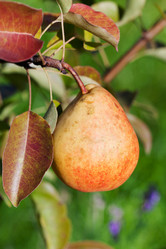 Similar image 2988456