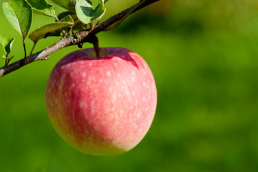 Similar image 2988458